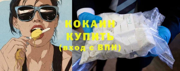стафф Новодвинск