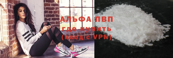 стафф Новодвинск