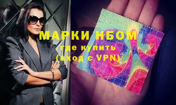 стафф Новодвинск