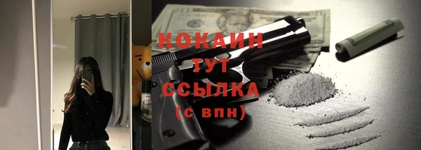 a pvp Новозыбков