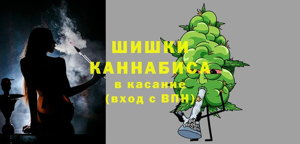 стафф Новодвинск