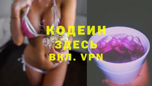стафф Новодвинск
