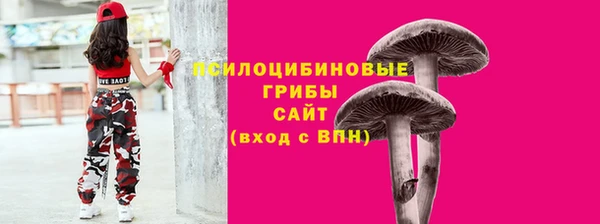 стафф Новодвинск