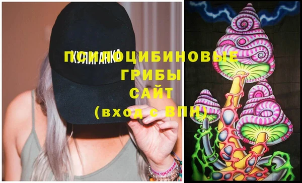 стафф Новодвинск