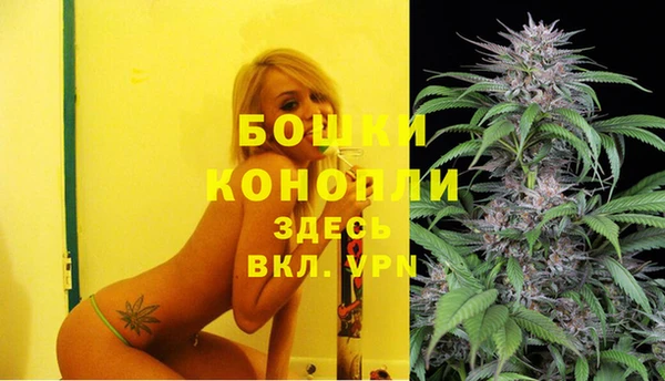 каннабис Новокубанск