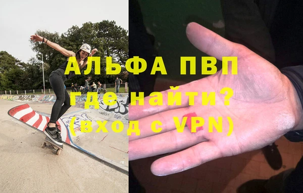стафф Новодвинск