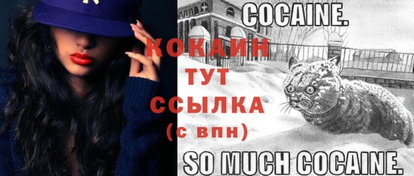 стафф Новодвинск