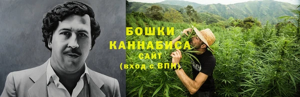 a pvp Новозыбков