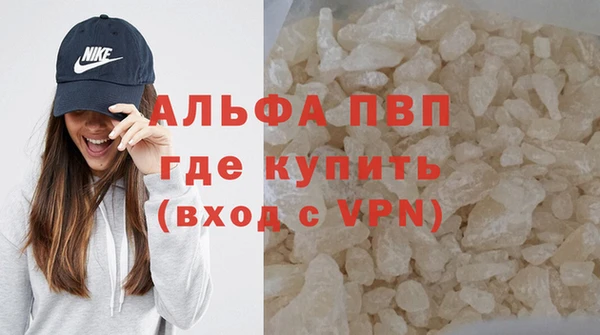 a pvp Новозыбков