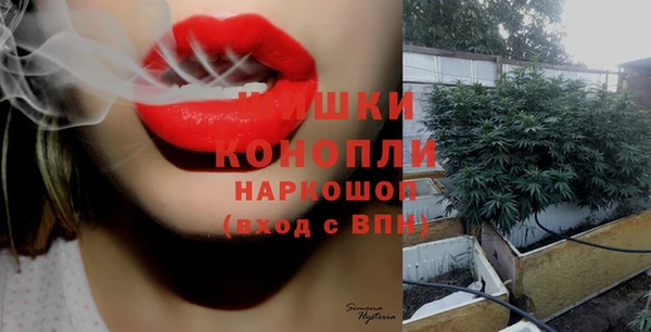 стафф Новодвинск
