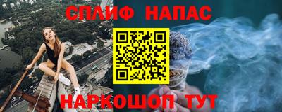 МДПВ Бийск
