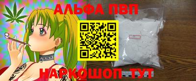 стаф Берёзовский